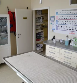 Veterinarska ambulanta ljubljana in okolica