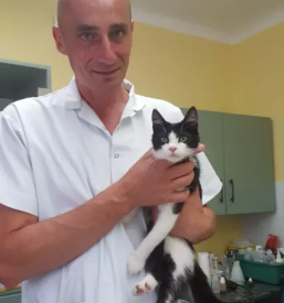 Veterinarska ambulanta maribor