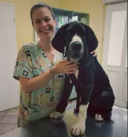Veterinarska ambulanta maribor