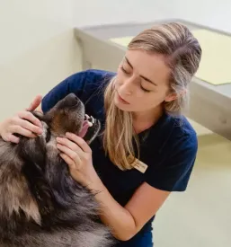 Veterinarska ambulanta obala