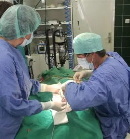 Dobra veterinarska postaja Postojna