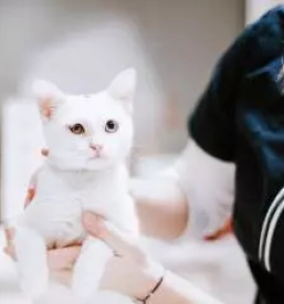 Trgovina za živali Grosuplje, Novo mesto