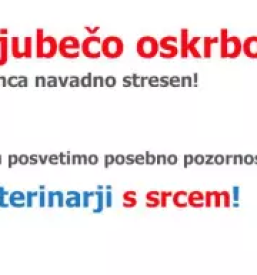 Veterinarski pregledi Ljubljana