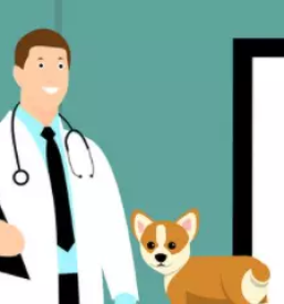 Dober veterinar Ljubljana