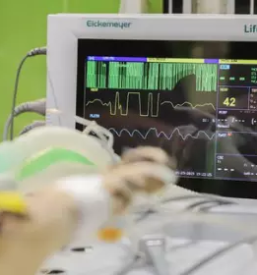 Veterinarska ambulanta Ljubljana