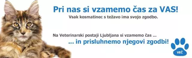 Veterinarski pregledi Ljubljana