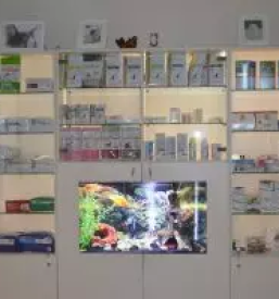 Veterinar Murska Sobota