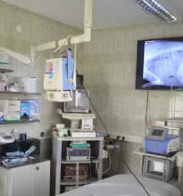 Ugodna ambulanta za male živali Murska Sobota