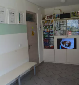 Veterinarski pregledi Murska Sobota