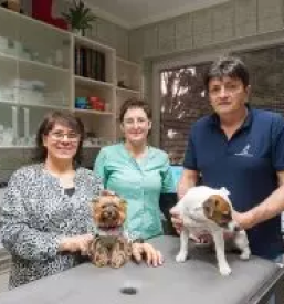 Pregled malih živali Murska Sobota