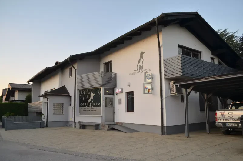 Dobra veterinarska ambulanta Murska Sobota 
