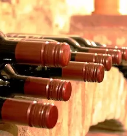 Vinogradniska kmetija kras primorska