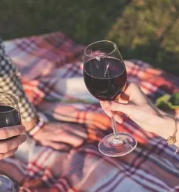 Vinogradniska kmetija kras primorska