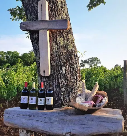 Vinogradniska kmetija nova gorica