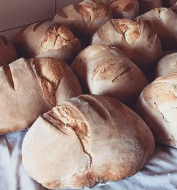 Vinogradniska kmetija nova gorica