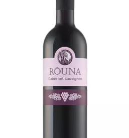 Vinograd in kmetija Vipava, Vipavska dolina