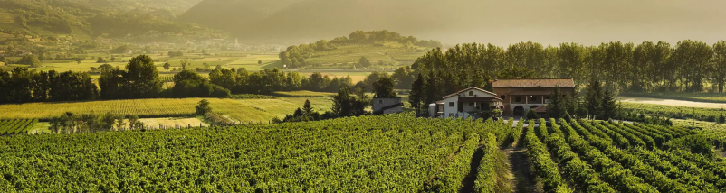 Kmetija Vipava, Vipavska dolina