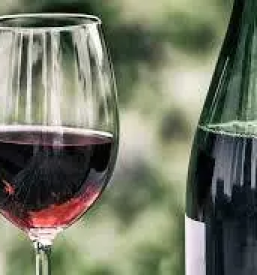 Vipavska vina pinela
