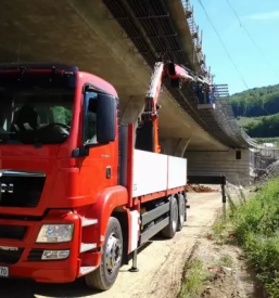 Visinska dela dolenjska