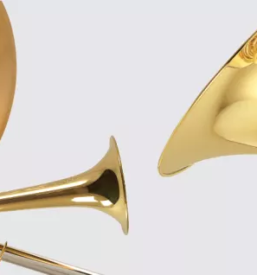 Vpis v glasbeno solo sv anton