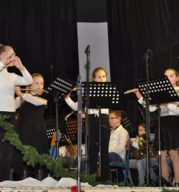 Vpis v glasbeno solo sv anton