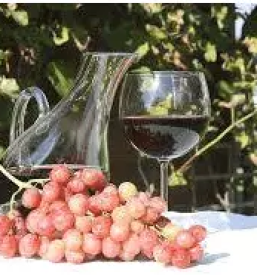 Vrhunska domaca vina prekmurje