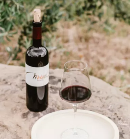 Ugodna vina na Goriškem