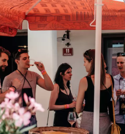 Degustacije vina na Goriškem