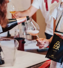 Degustacije na Goriškem