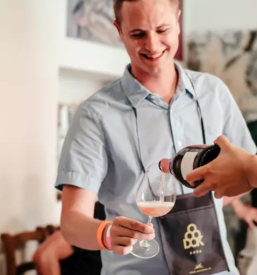 Vrhunska vina Goriška