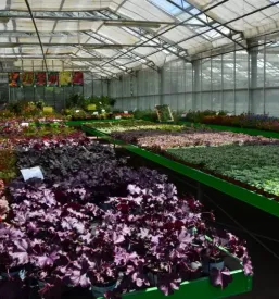 Vrtnarija radenci