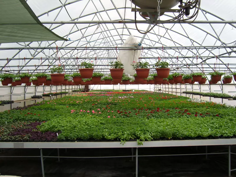 Vrtnarstvo in urejanje okolice Dolenjska