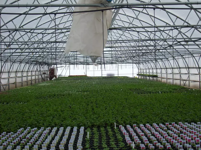 Vrtnarstvo in urejanje okolice Ljubljana okolica