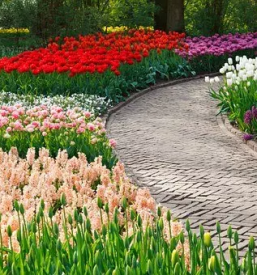 Vrtnarstvo in urejanje okolice slovenske konjice