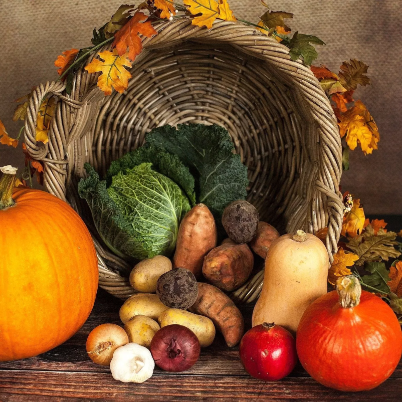 Vrtni center Cerklje na Gorenjskem