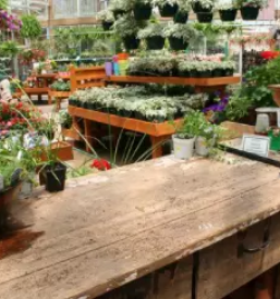 Priznan vrtni center in cvetličarna Celje in okolica