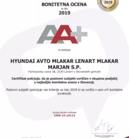 Vulkanizerstvo avtokleparstvo in avtolicarstvo stajerska