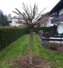 Ugodno vzdrževanje okolice Kranj, Gorenjska