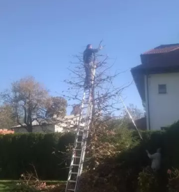 Kakovostno vzdrževanje okolice Gorenjska