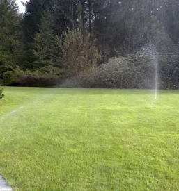 Kvalitetno vzdrževanje okolice Gorenjska