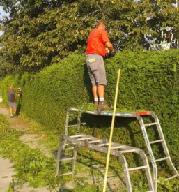 Vzdrževanje in ureditev okolice Gorenjska