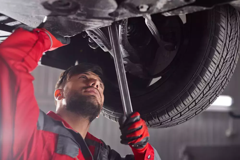 Servis vozil Ormož, Podravska