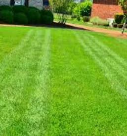 Vzdrzevanje zelenic kranjska gora