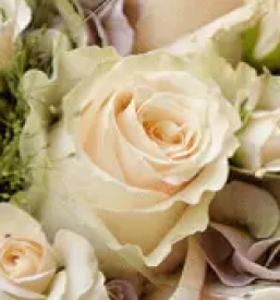 Wedding flowers slovenia