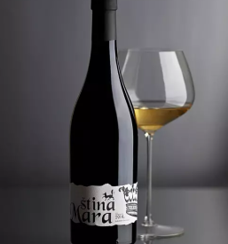 Wine labels ljubljana slovenia