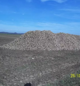 Zadruga Kooperativa Kristal z.o.o