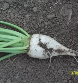 Zadruga kooperativa kristal