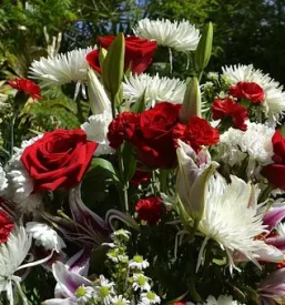 Zalni aranzmaji goriska