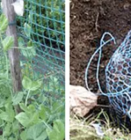 Zascitne mreze in pasti za glodalce slovenija