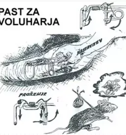 Zascitne mreze in pasti za glodalce slovenija